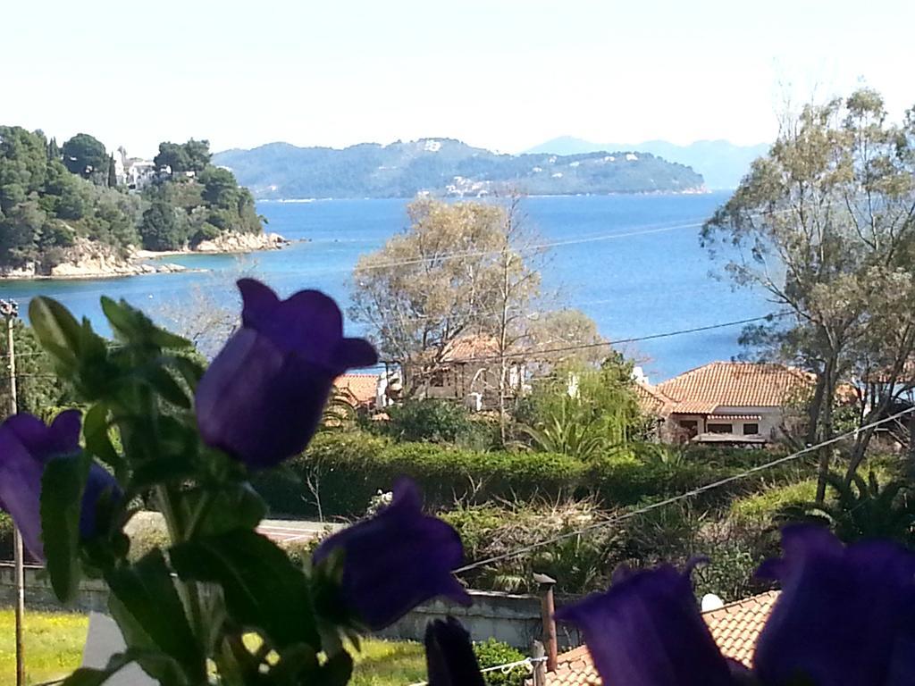 Tzaneria Apartments Skiathos Kanapitsa  Exteriér fotografie